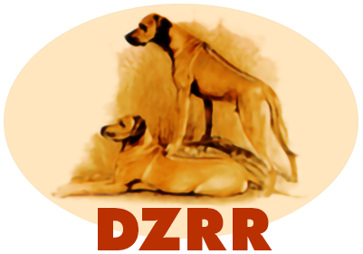DZRR – Deutsche Züchtergemeinschaft Rhodesian Ridgeback e. V.