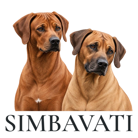 SIMBAVATI – George und Richard