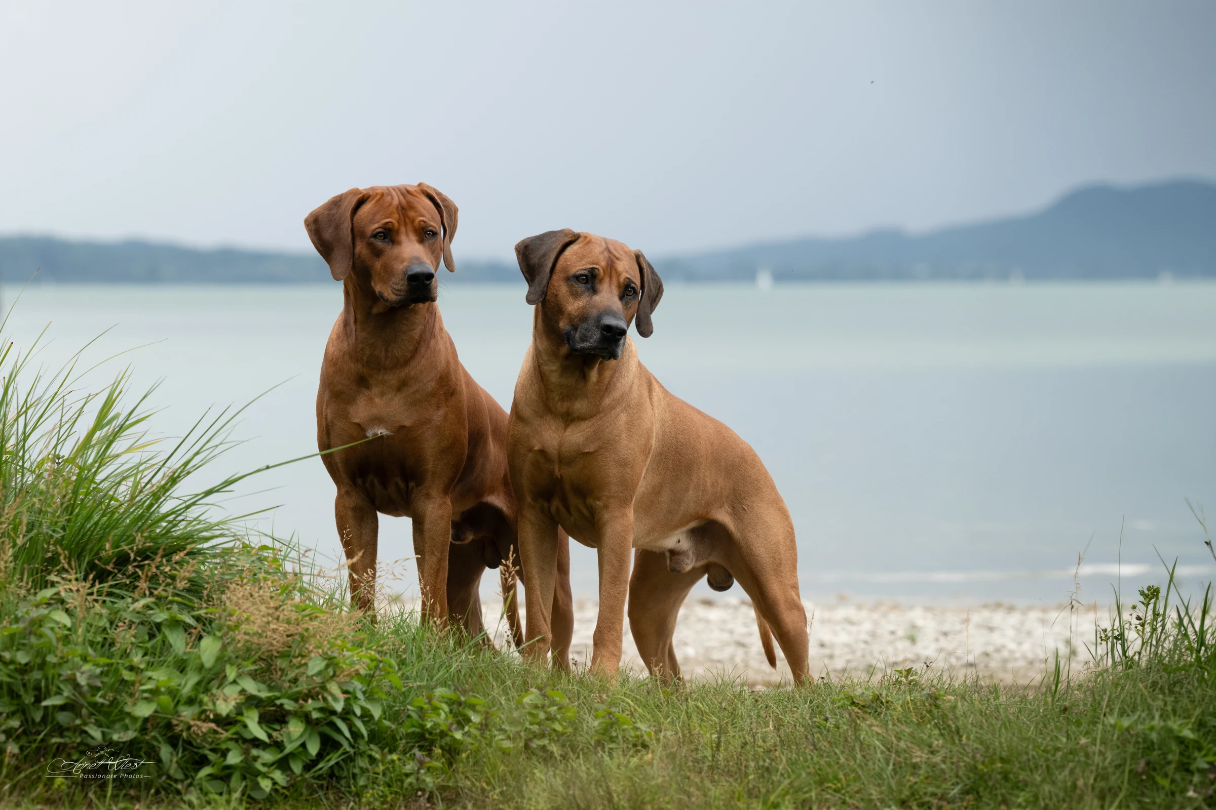 Richard und sein Vater George gemeinsam am See
